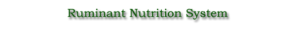 Ruminant Nutrition System