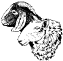 http://www.sheepandgoat.com/news/images/Goat_SheepHeads.gif